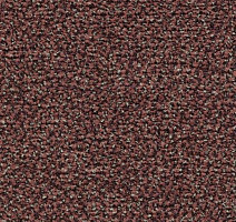 Грязезащитные покрытия Forbo Coral Classic 4759 old rose фото 1 | FLOORDEALER